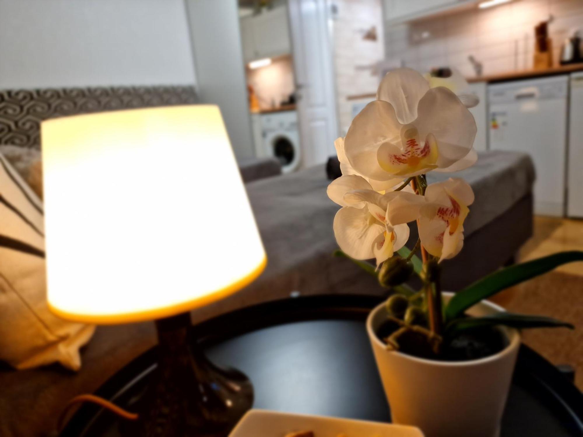 Bercsényi apartment Budapest Habitación foto